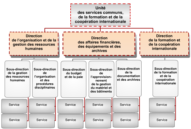 unité des services communs, de la formation et de la coopération internationale