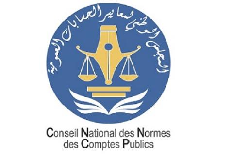 Avis de consultation publique portant sur le projet de la norme « Immobilisations corporelles de l’Etat ».